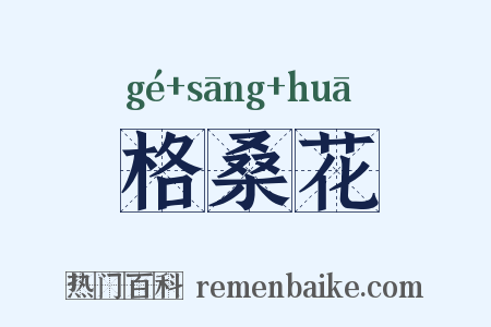 格桑花是什么意思的图片